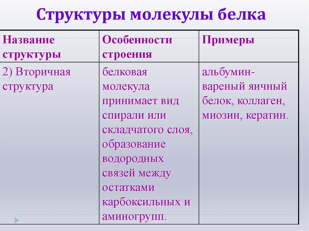 Структуры молекулы белка