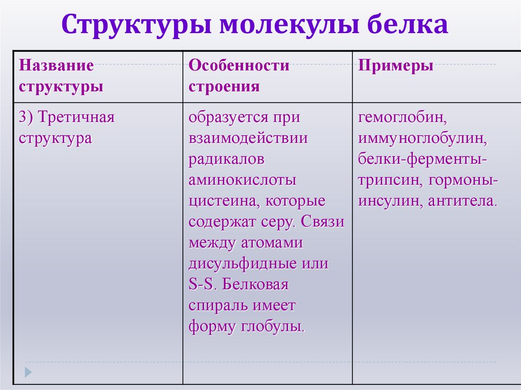 Структуры молекулы белка
