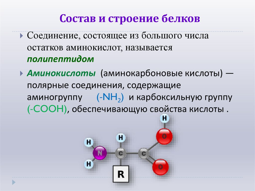 Состав и строение белков