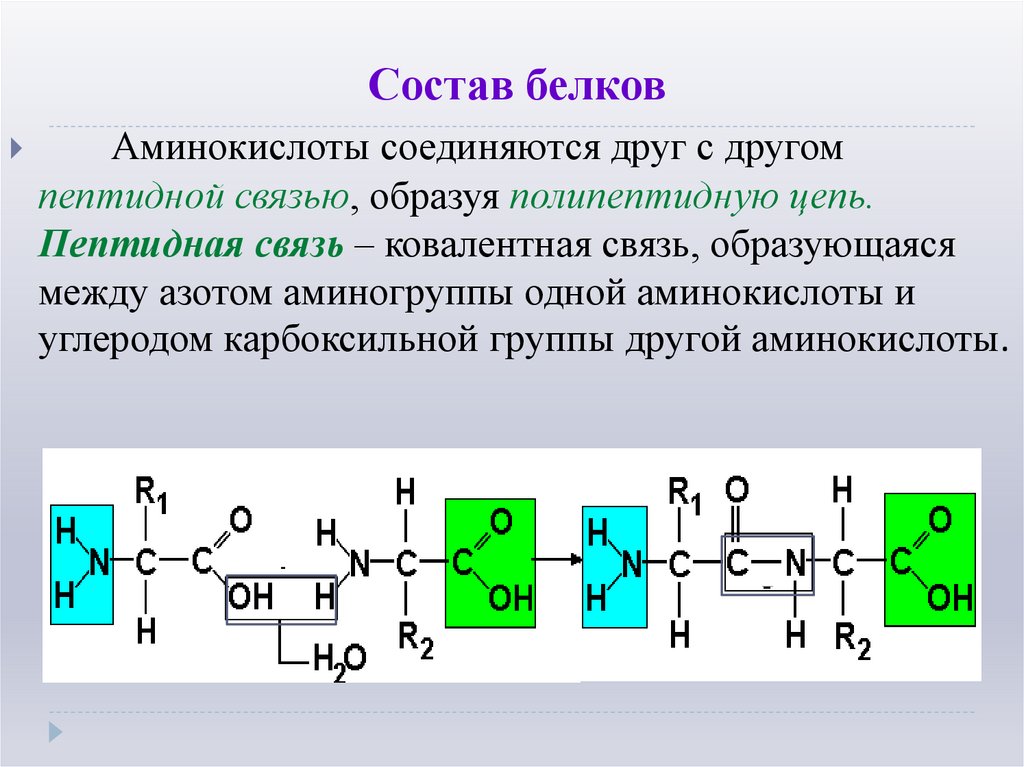 Состав белков