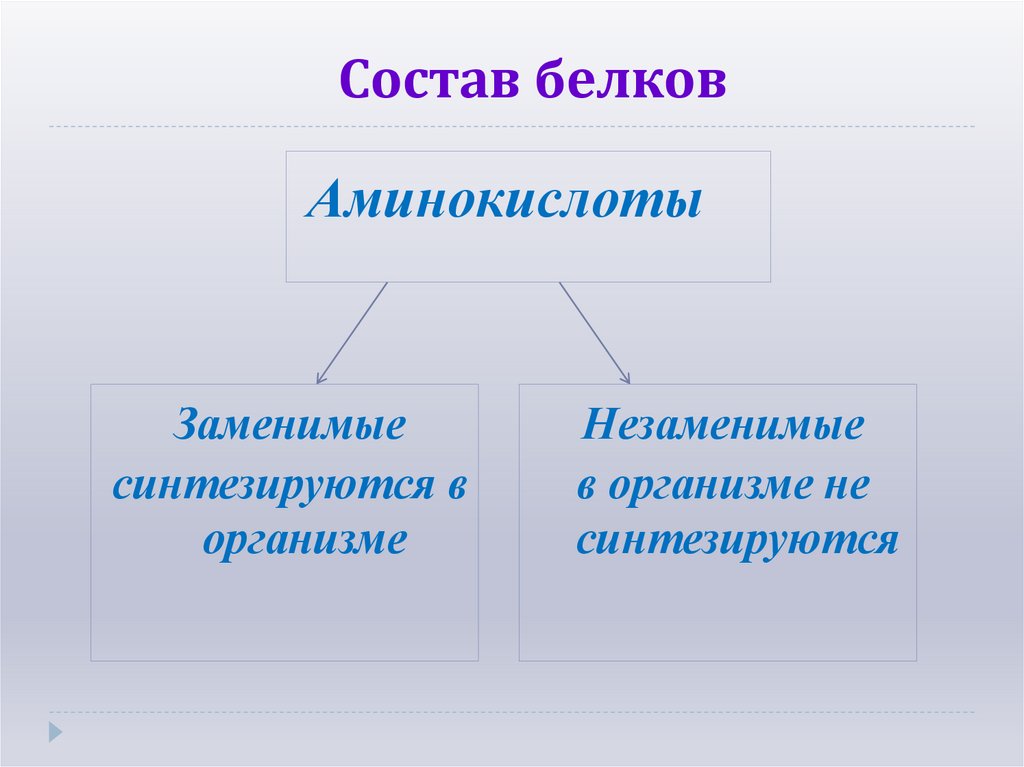 Состав белков