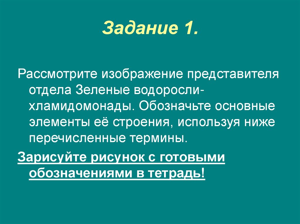 Задание 1.