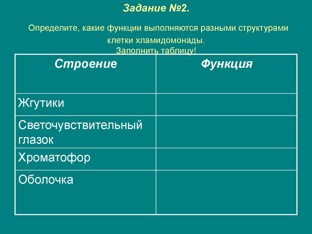 Задание №2. Определите, какие функции выполняются разными структурами клетки хламидомонады. Заполнить таблицу!