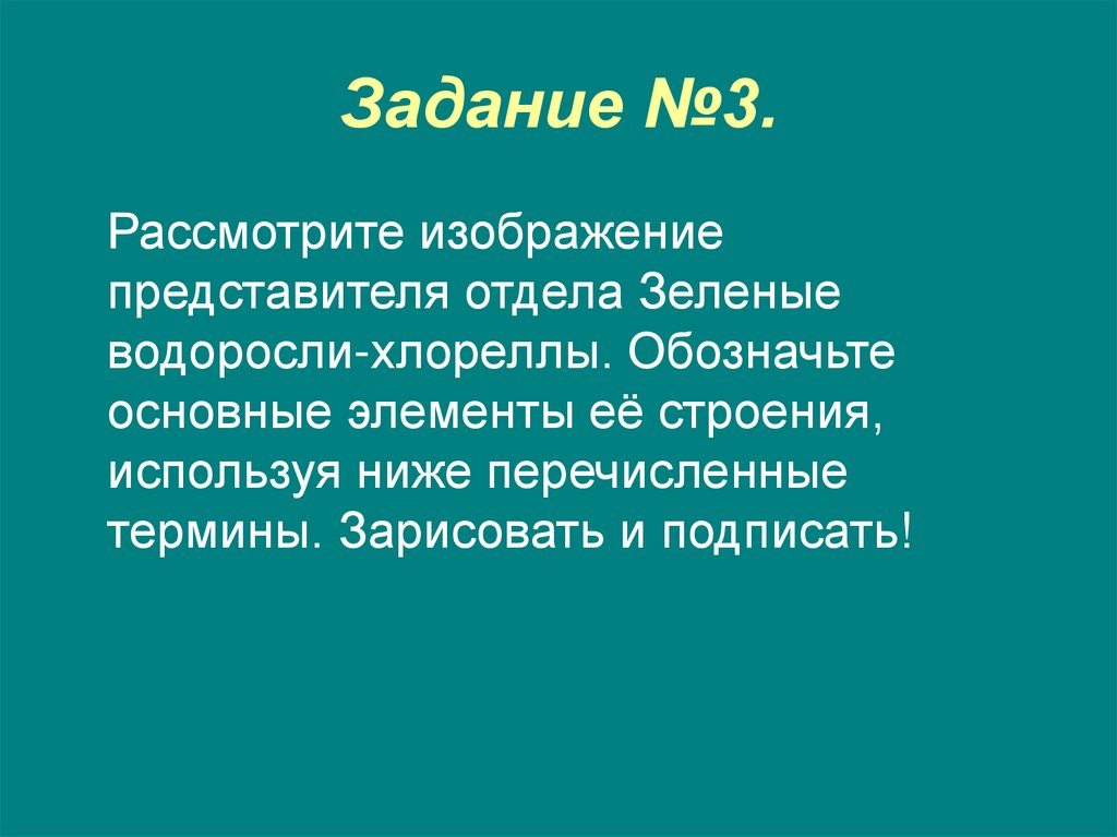 Задание №3.