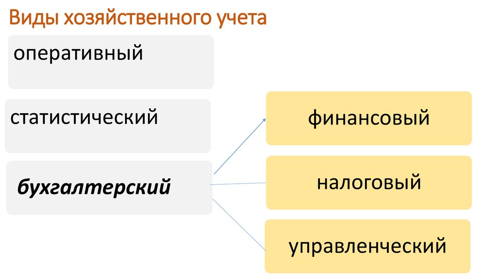 Виды хозяйственного учета