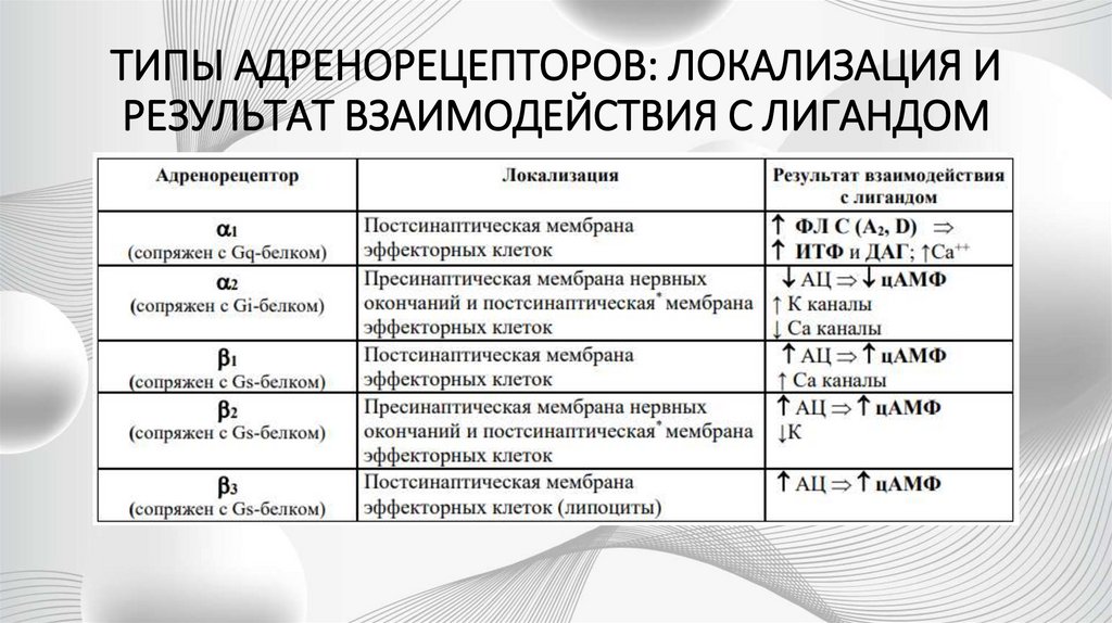 ТИПЫ АДРЕНОРЕЦЕПТОРОВ: ЛОКАЛИЗАЦИЯ И РЕЗУЛЬТАТ ВЗАИМОДЕЙСТВИЯ С ЛИГАНДОМ