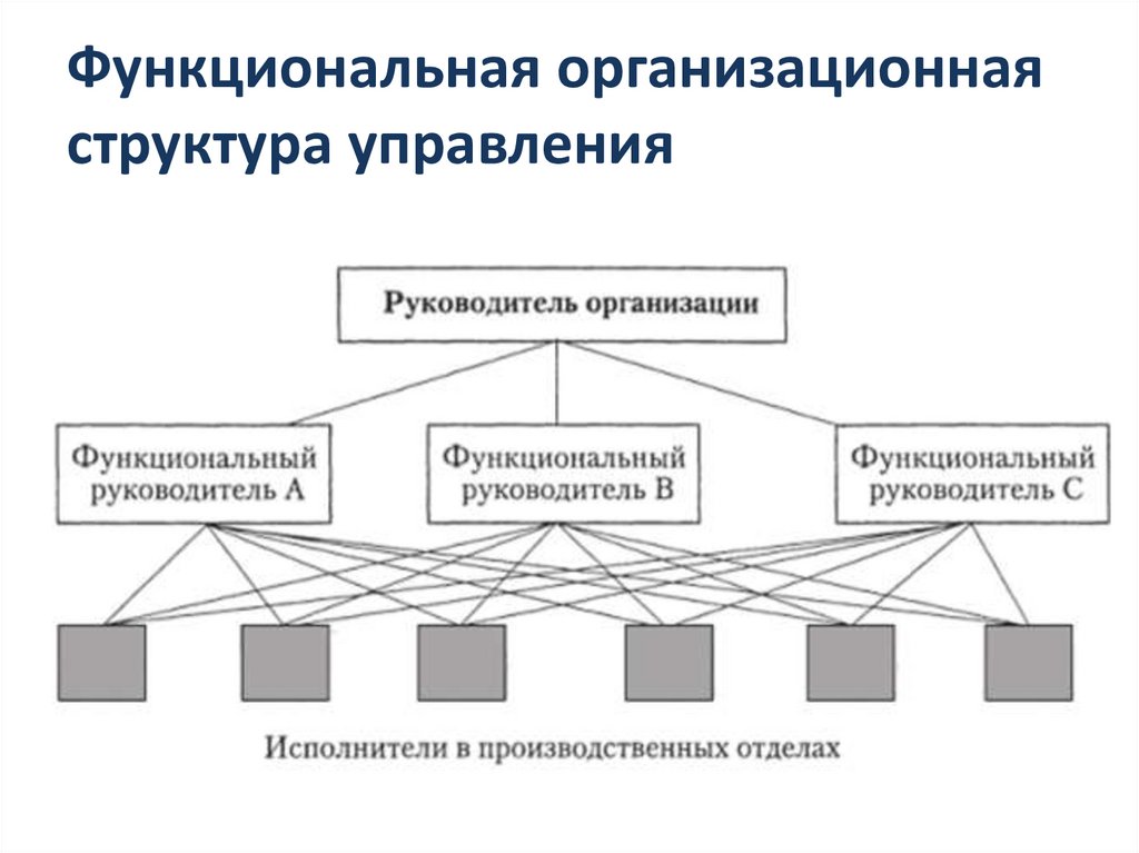 Функциональная организационная структура управления