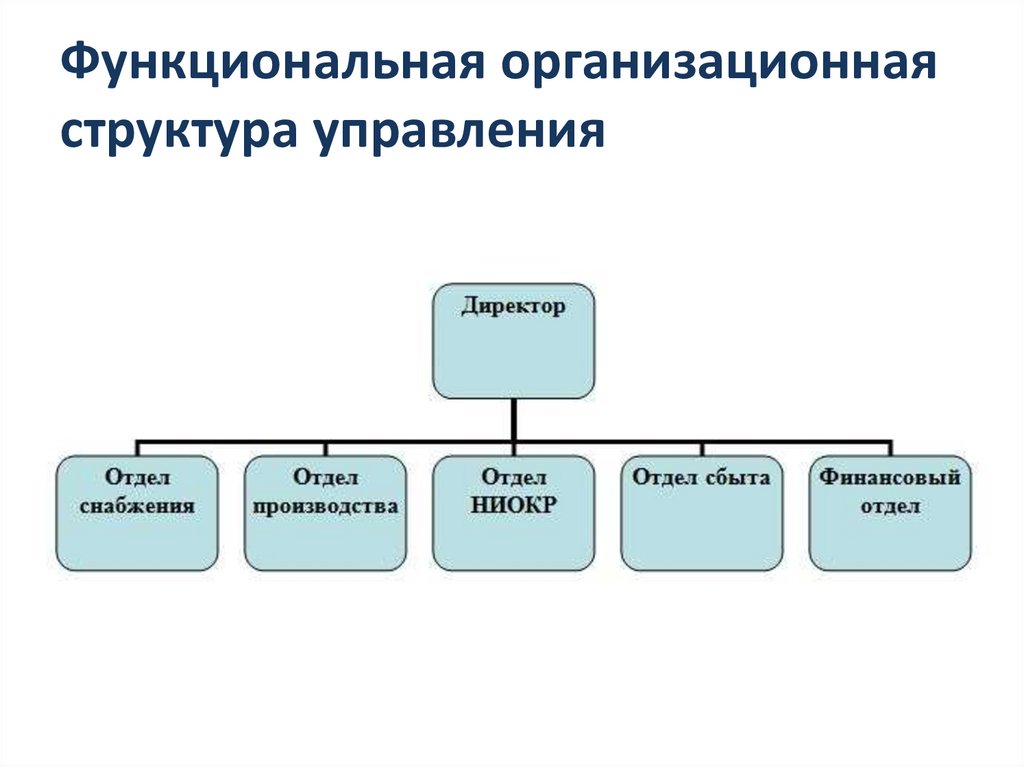 Функциональная организационная структура управления