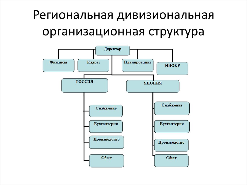 Региональная дивизиональная организационная структура