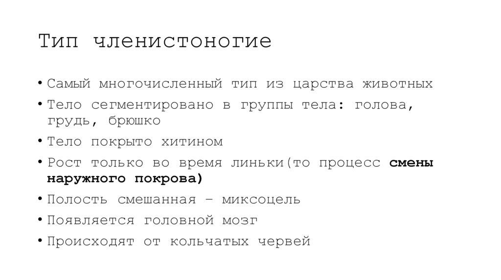 Тип членистоногие