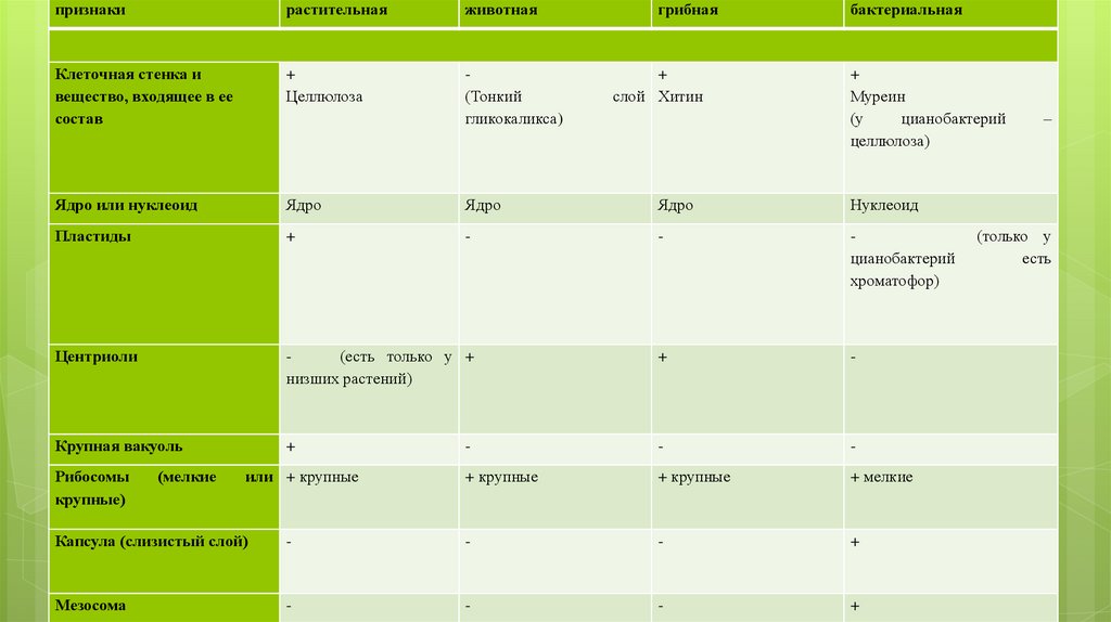 Особенности строения клетки
