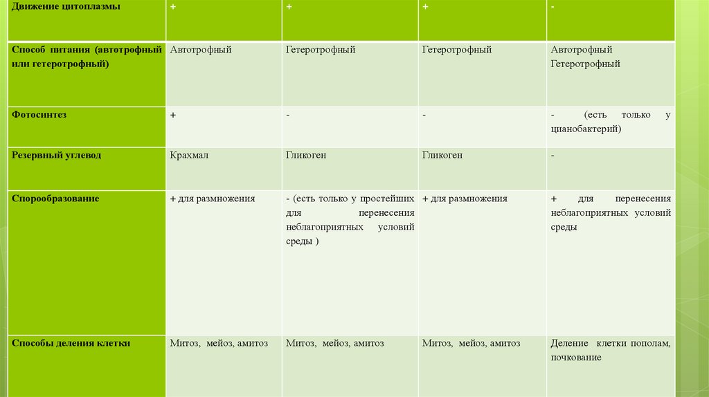 Особенности жизнедеятельности клетки