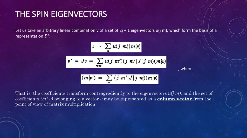The Spin Eigenvectors