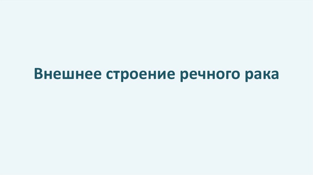 Внешнее строение речного рака