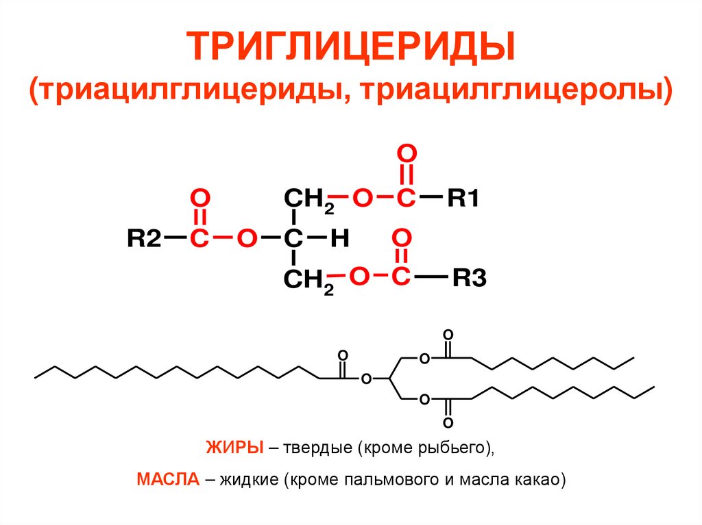 ТРИГЛИЦЕРИДЫ (триацилглицериды, триацилглицеролы)