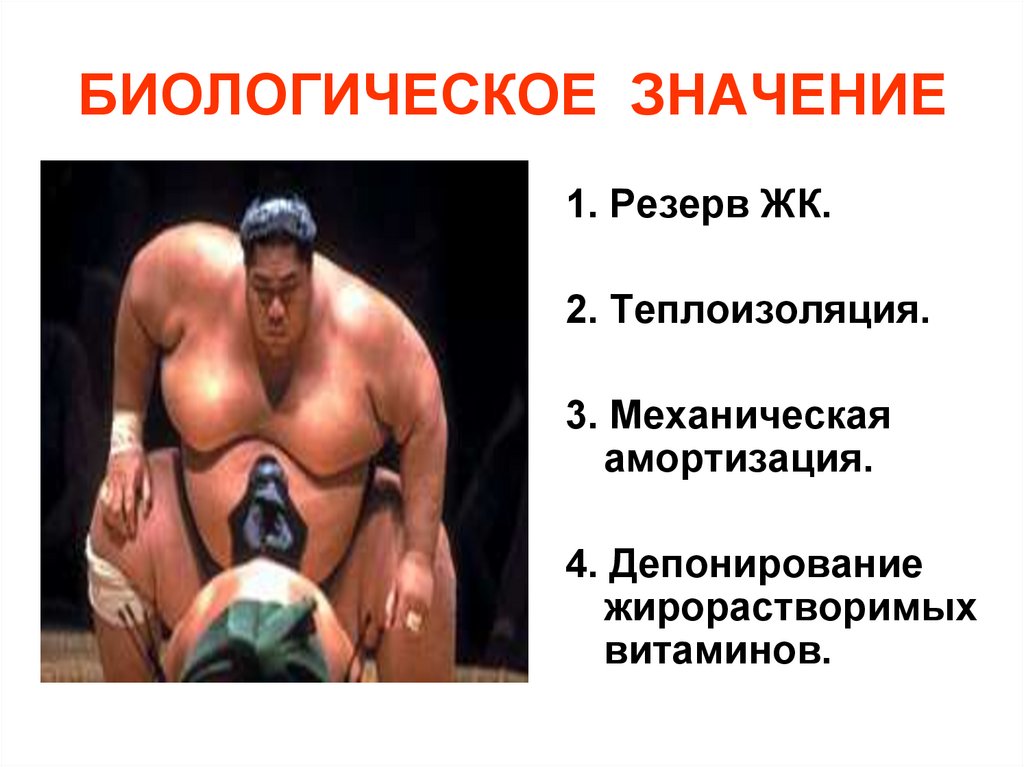 БИОЛОГИЧЕСКОЕ ЗНАЧЕНИЕ