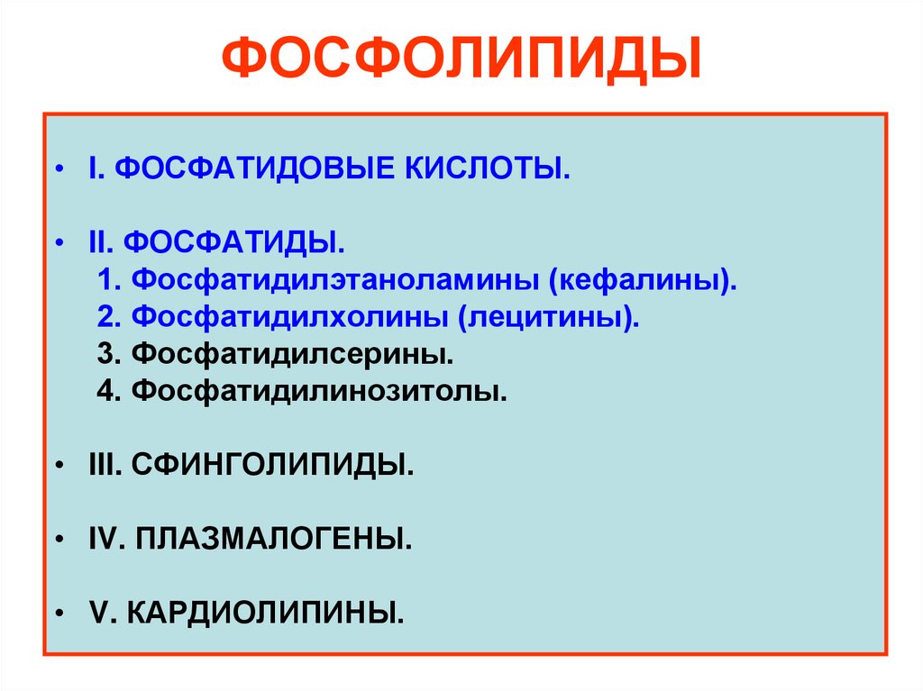 ФОСФОЛИПИДЫ