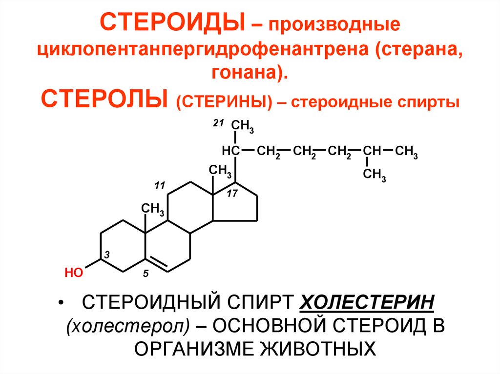 СТЕРОИДЫ – производные циклопентанпергидрофенантрена (стерана, гонана). СТЕРОЛЫ (СТЕРИНЫ) – стероидные спирты