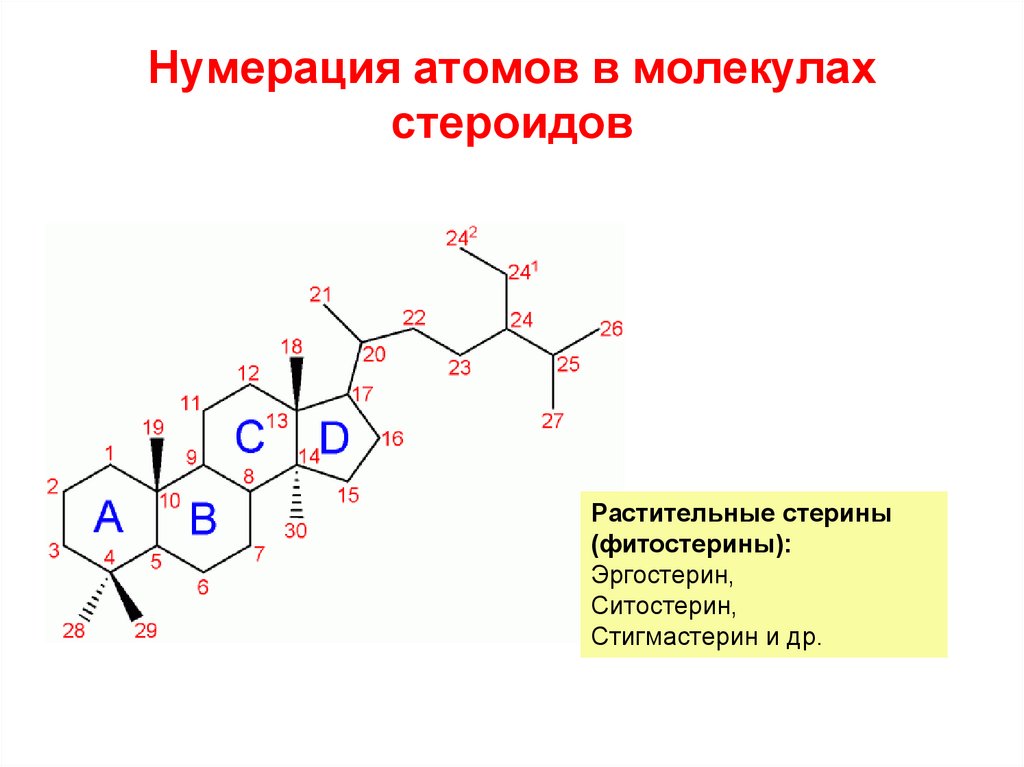 Нумерация атомов в молекулах стероидов
