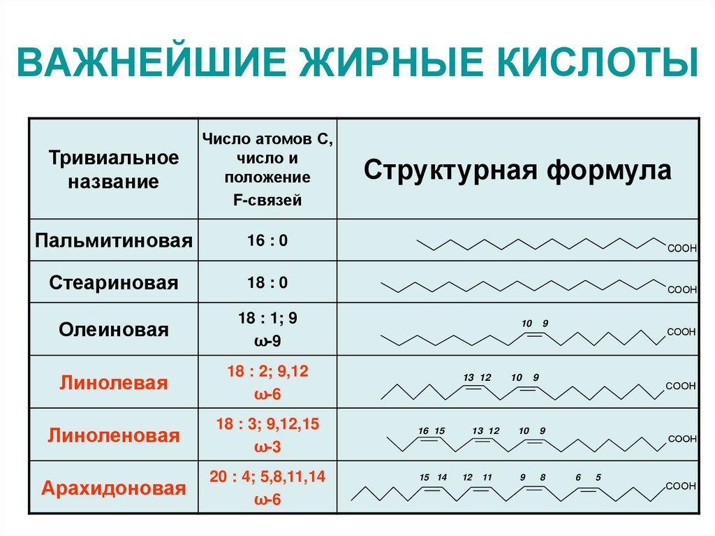 ВАЖНЕЙШИЕ ЖИРНЫЕ КИСЛОТЫ