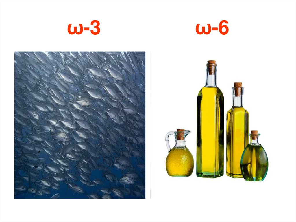ω-3 ω-6
