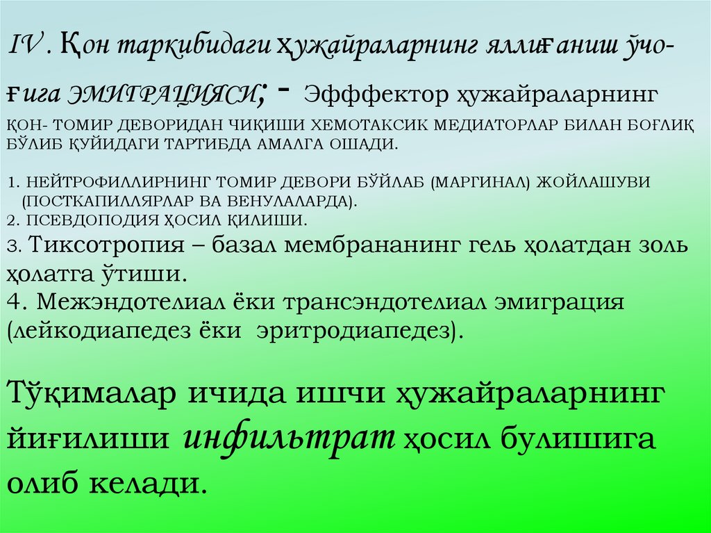 IV . Қон таркибидаги ҳужайраларнинг яллиғаниш ўчо-ғига ЭМИГРАЦИЯСИ; - Эфффектор ҳужайраларнинг ҚОН- ТОМИР ДЕВОРИДАН ЧИҚИШИ