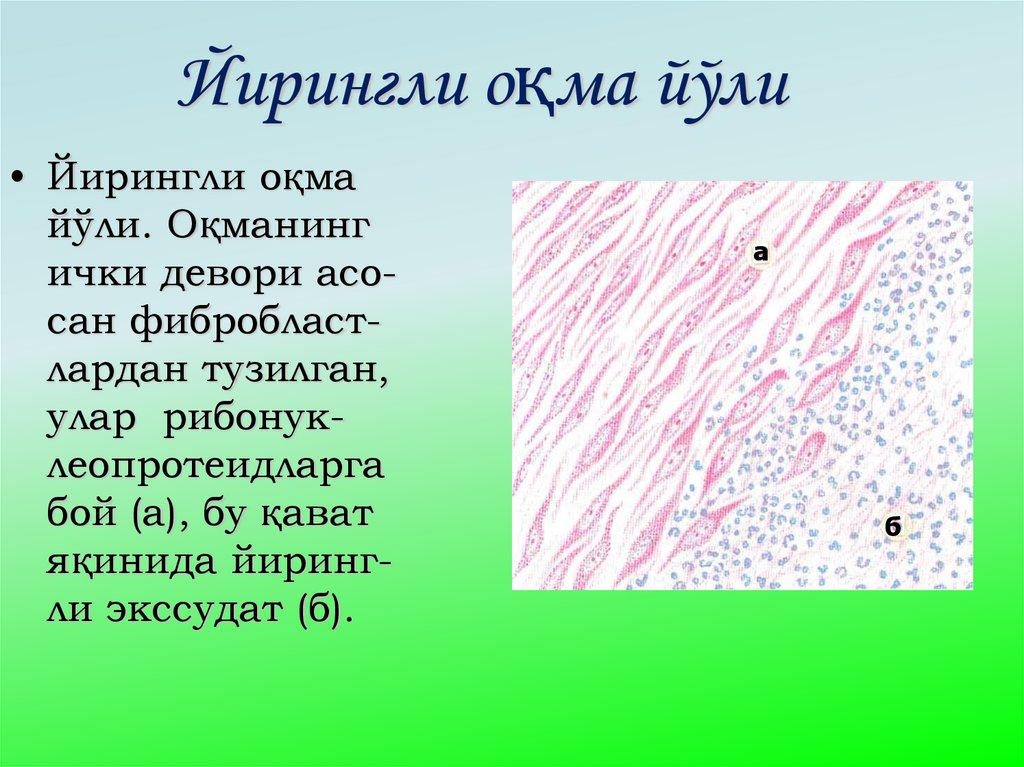 Йирингли оқма йўли