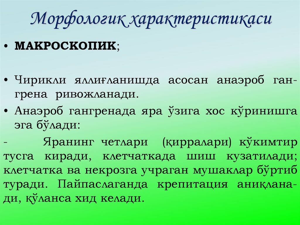 Морфологик характеристикаси