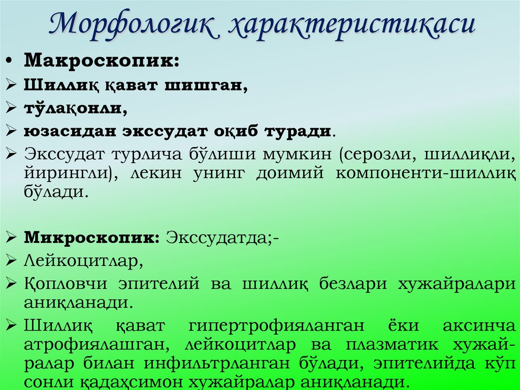 Морфологик характеристикаси