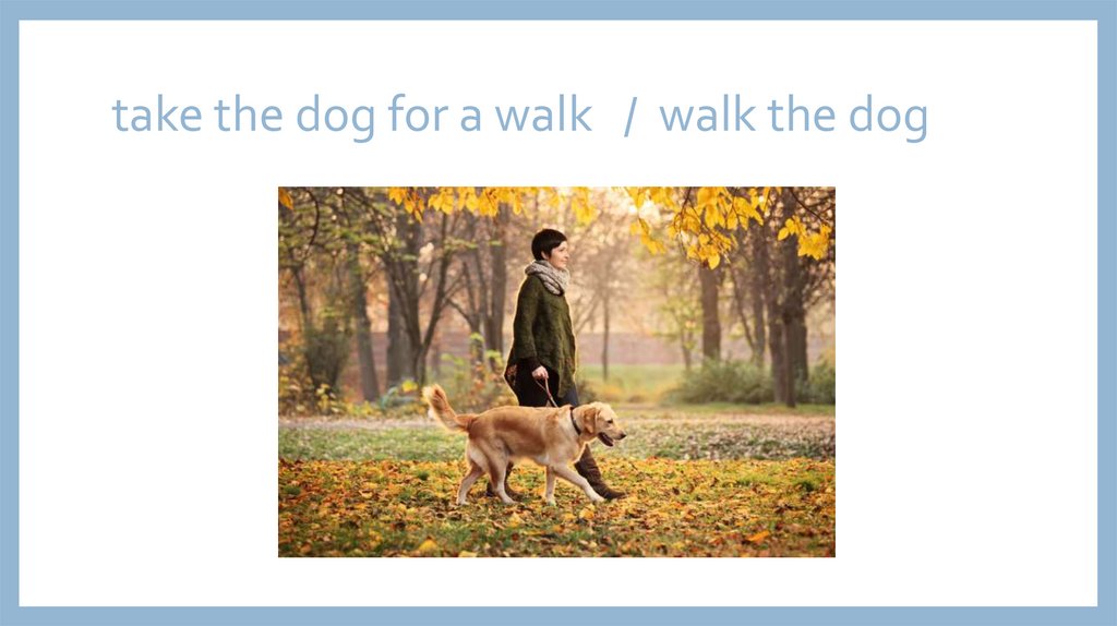 take the dog for a walk / walk the dog