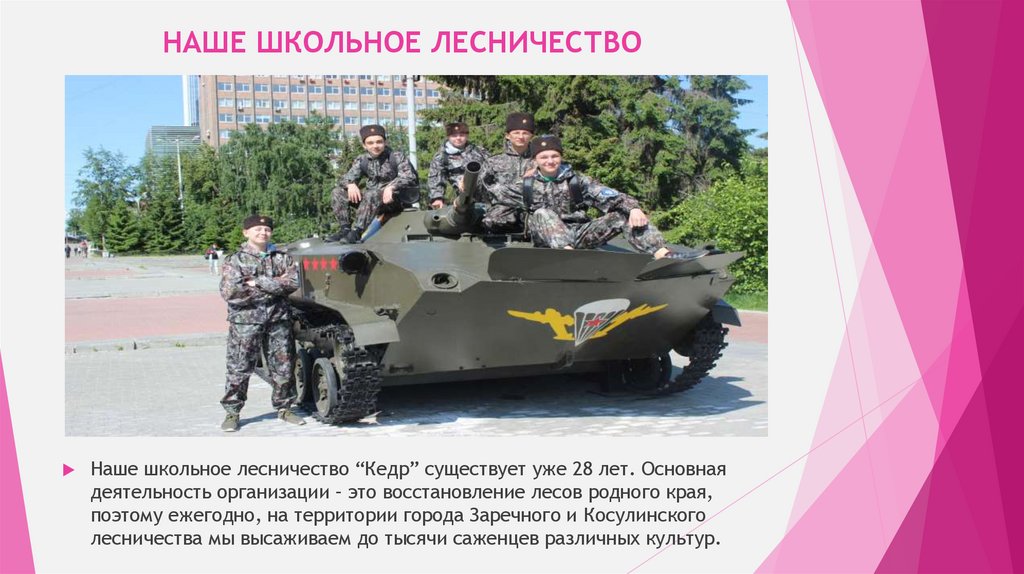 НАШЕ ШКОЛЬНОЕ ЛЕСНИЧЕСТВО