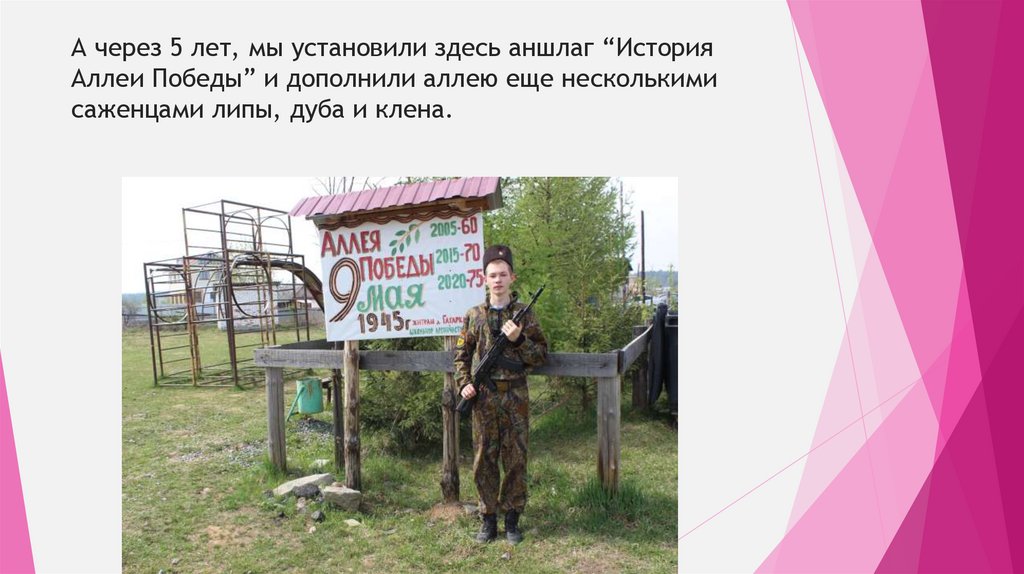 А через 5 лет, мы установили здесь аншлаг “История Аллеи Победы” и дополнили аллею еще несколькими саженцами липы, дуба и