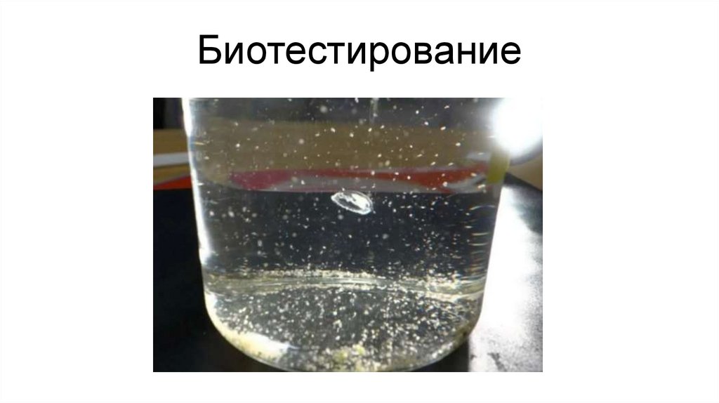 Биотестирование