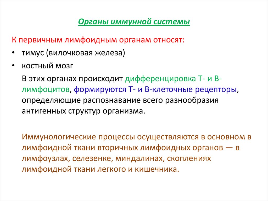 Органы иммунной системы
