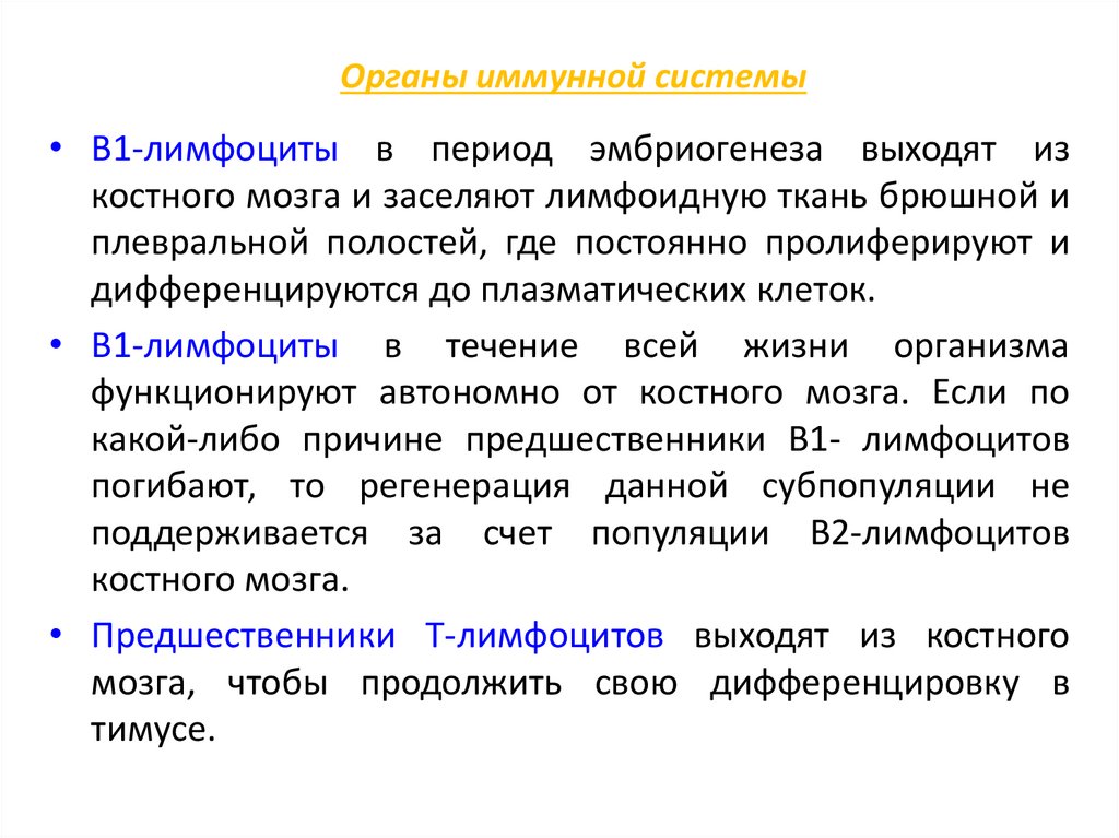 Органы иммунной системы