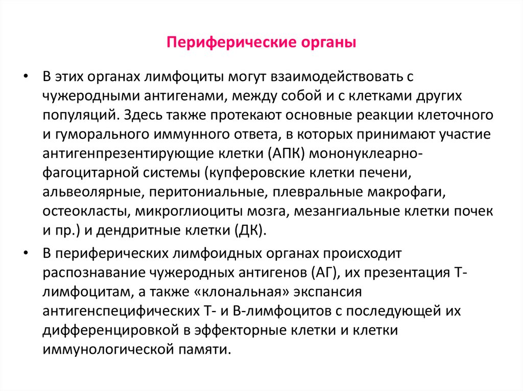 Периферические органы