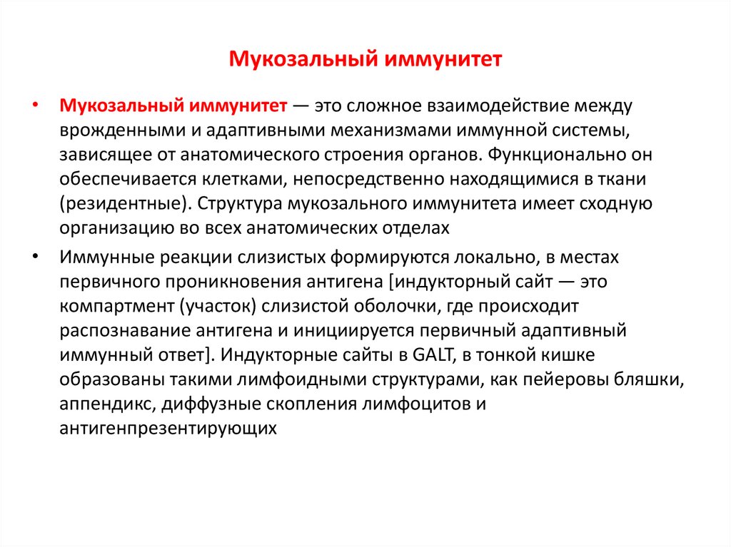 Мукозальный иммунитет