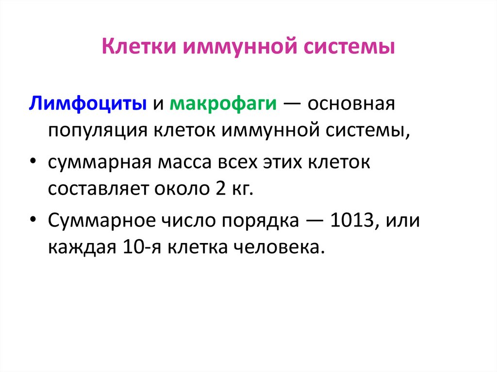 Клетки иммунной системы