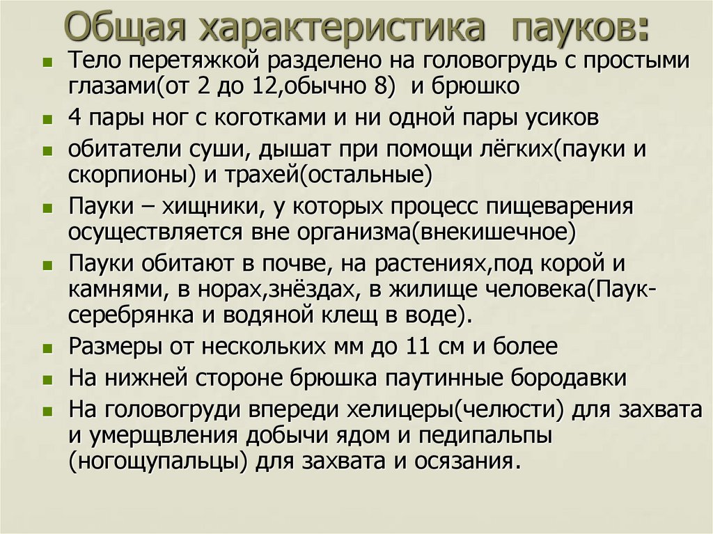 Общая характеристика пауков: