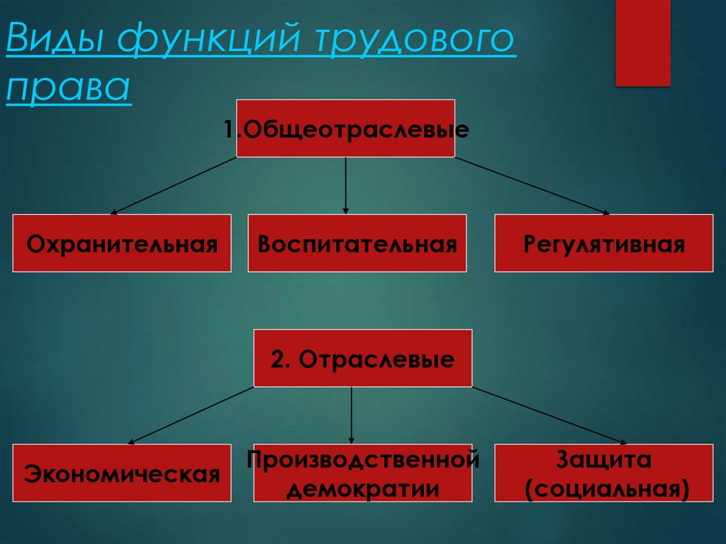 Виды функций трудового права
