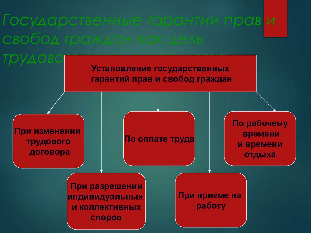 Государственные гарантии прав и свобод граждан как цель трудового законодательства