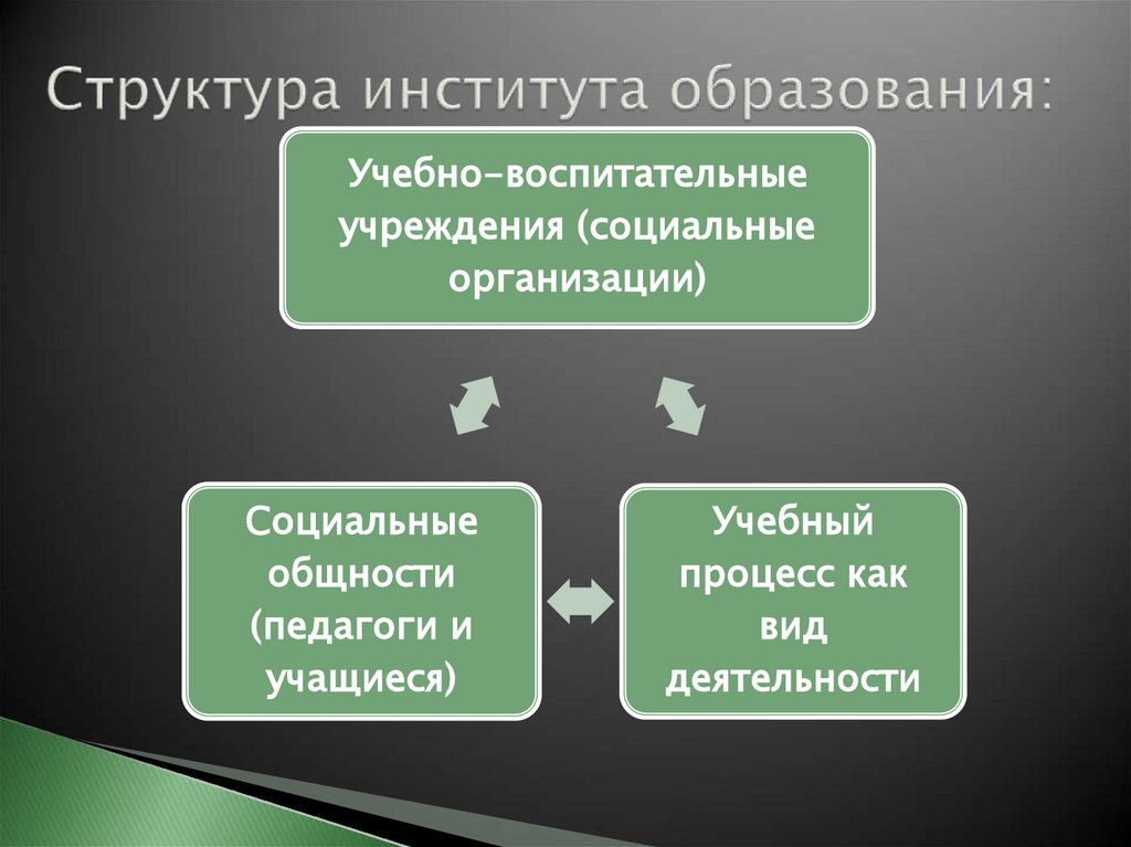 Структура института образования: