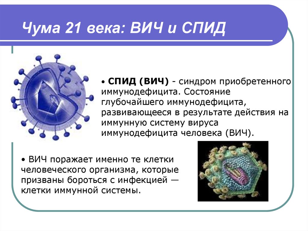Синквейн (от французского слова «пять строк»)