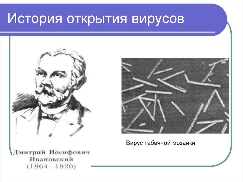 История открытия вирусов