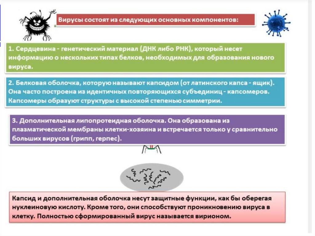Классификация вирусов
