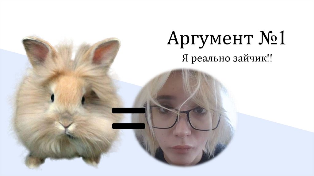 Аргумент №1