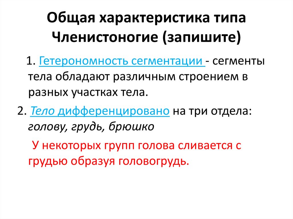 Общая характеристика типа Членистоногие (запишите)