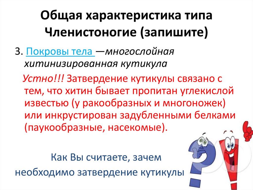 Общая характеристика типа Членистоногие (запишите)