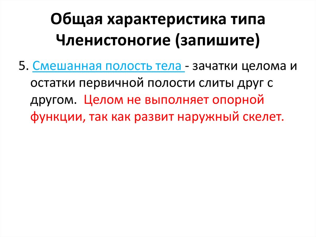 Общая характеристика типа Членистоногие (запишите)