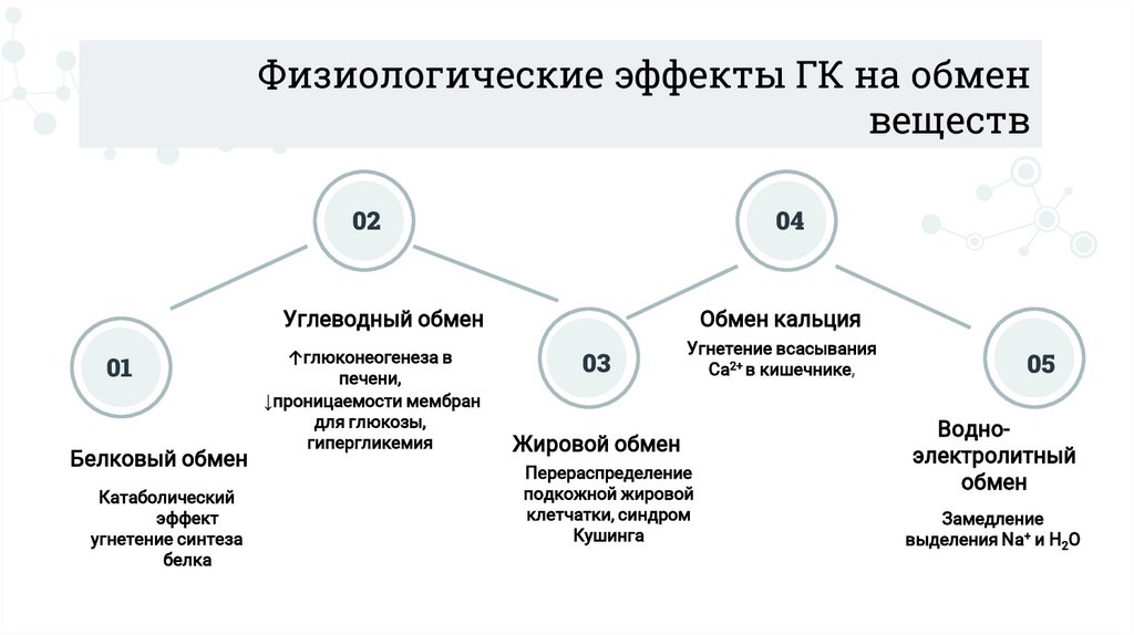 Физиологические эффекты ГК на обмен веществ